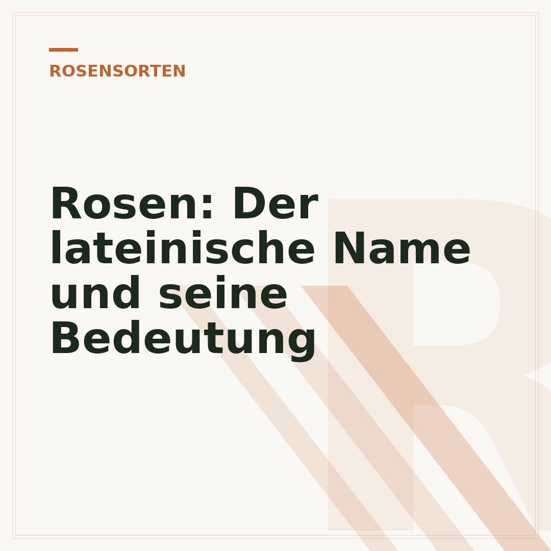 Rosen: Der lateinische Name und seine Bedeutung