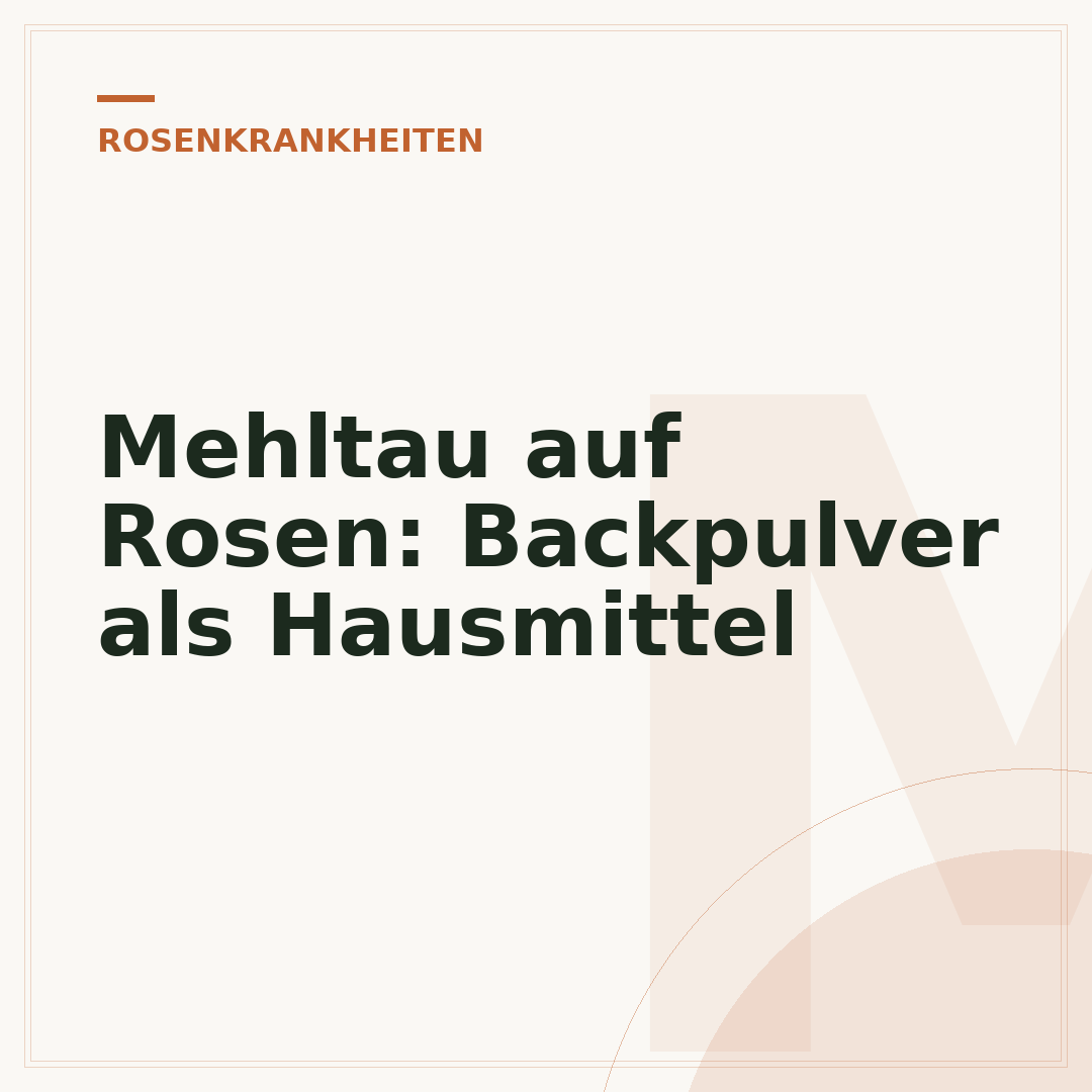 Mehltau auf Rosen: Backpulver als Hausmittel