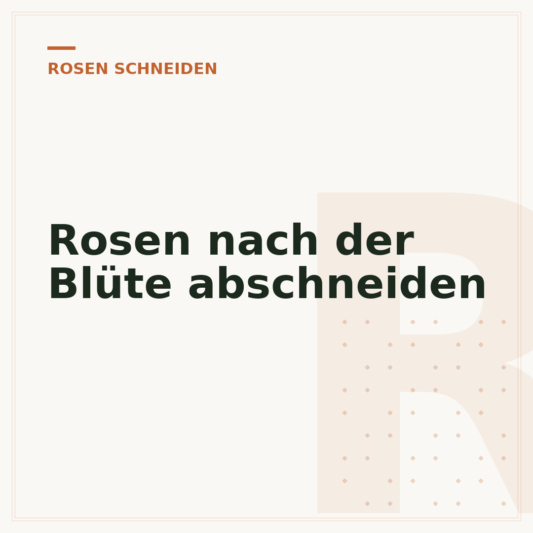 Rosen nach der Blüte abschneiden