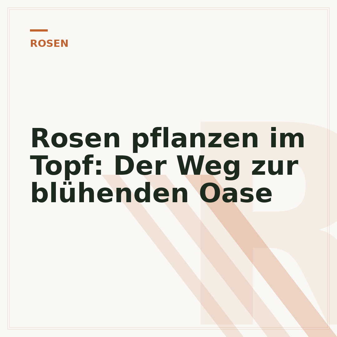 Rosen pflanzen im Topf: Der Weg zur blühenden Oase