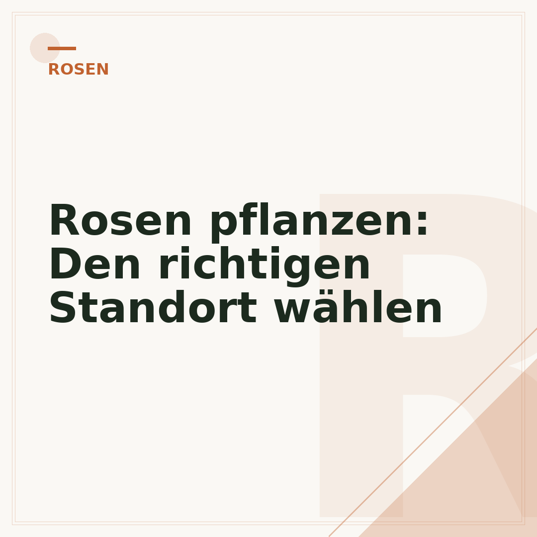 Rosen pflanzen: Den richtigen Standort wählen