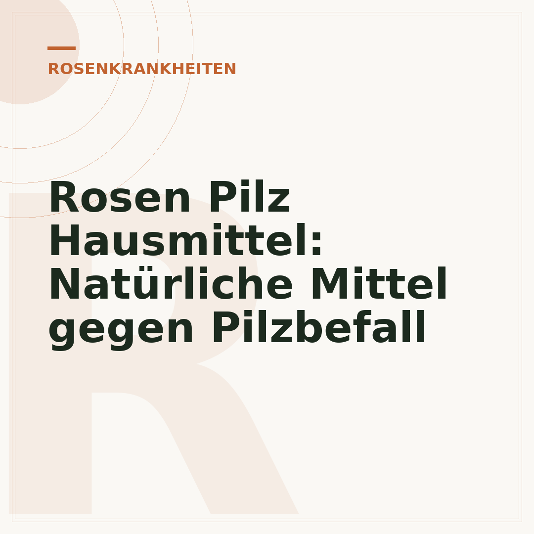 Rosen Pilz Hausmittel: Natürliche Mittel gegen Pilzbefall