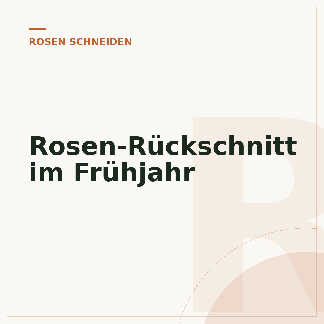 Rosen-Rückschnitt im Frühjahr