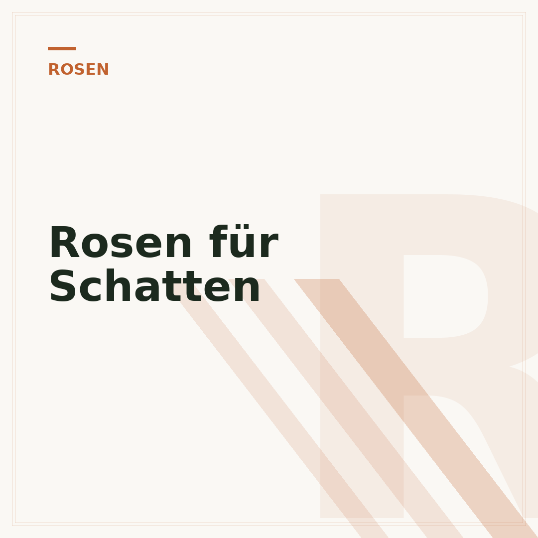 Rosen für Schatten
