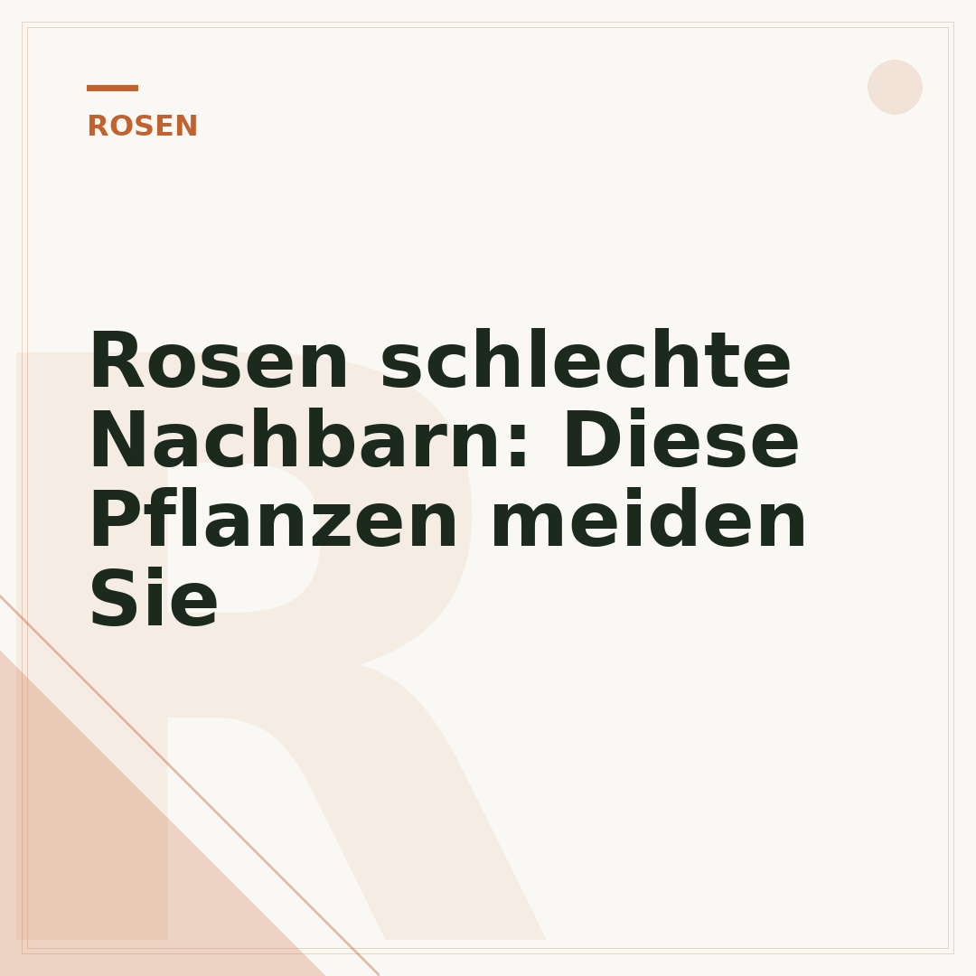 Rosen schlechte Nachbarn: Diese Pflanzen meiden Sie