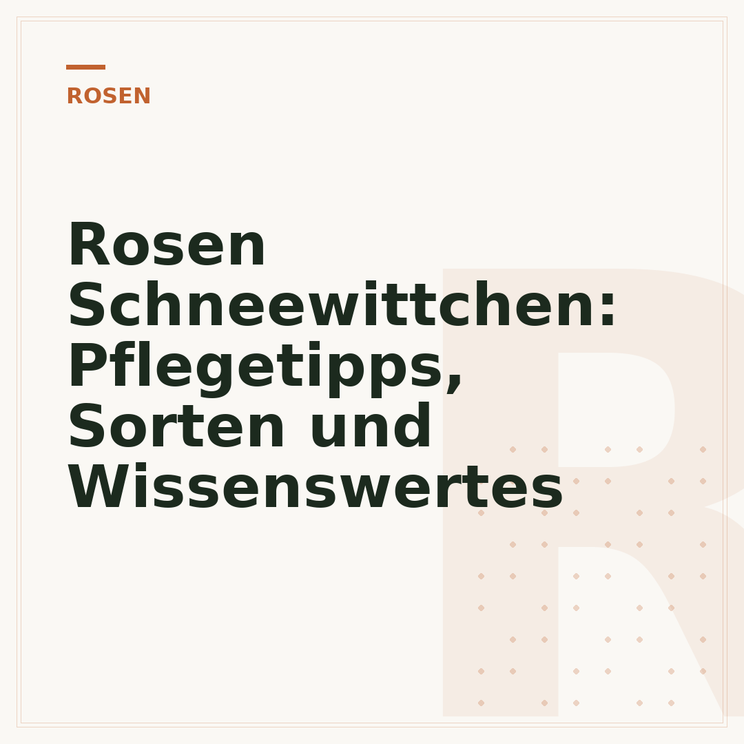 Rosen Schneewittchen: Pflegetipps, Sorten und Wissenswertes