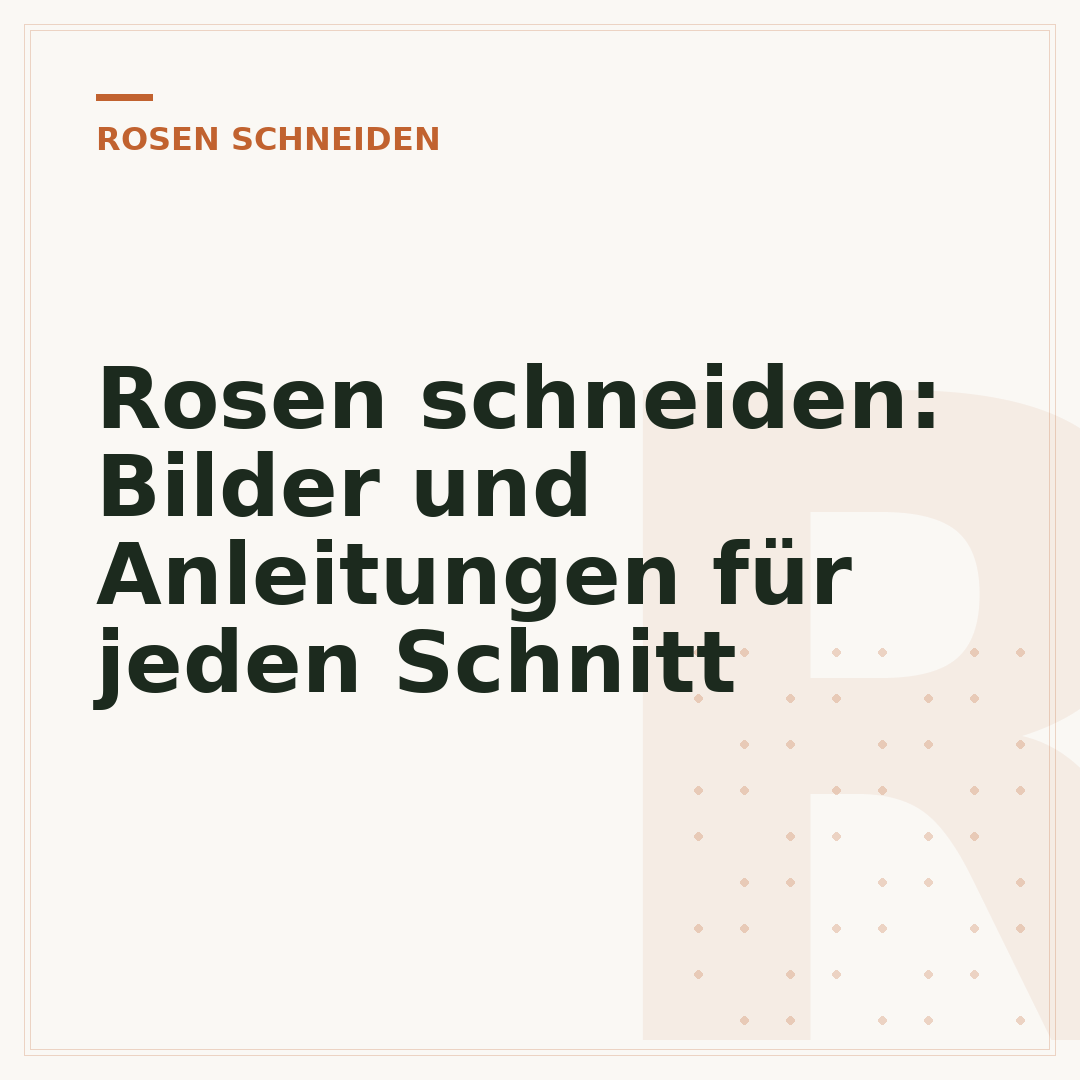 Rosen schneiden: Bilder und Anleitungen für jeden Schnitt