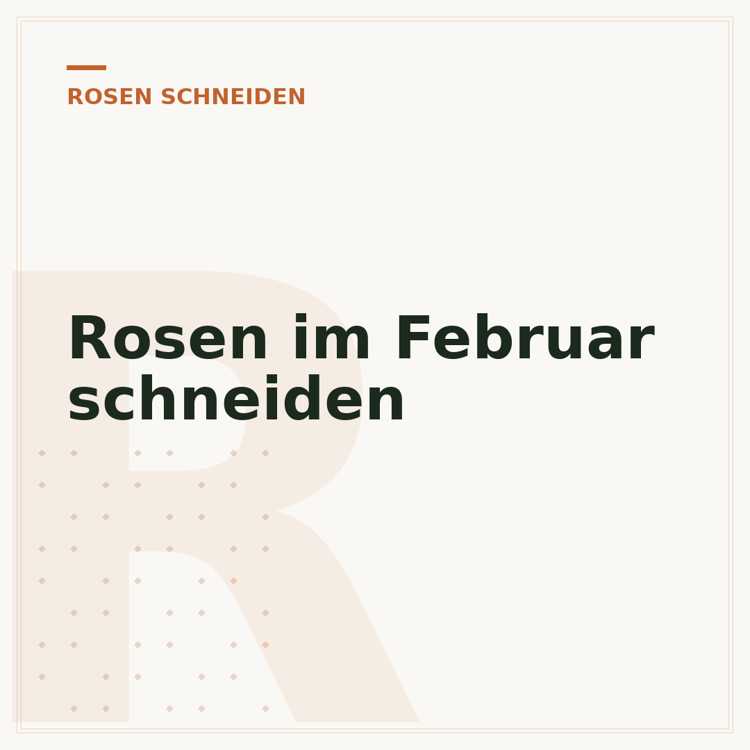 Rosen im Februar schneiden