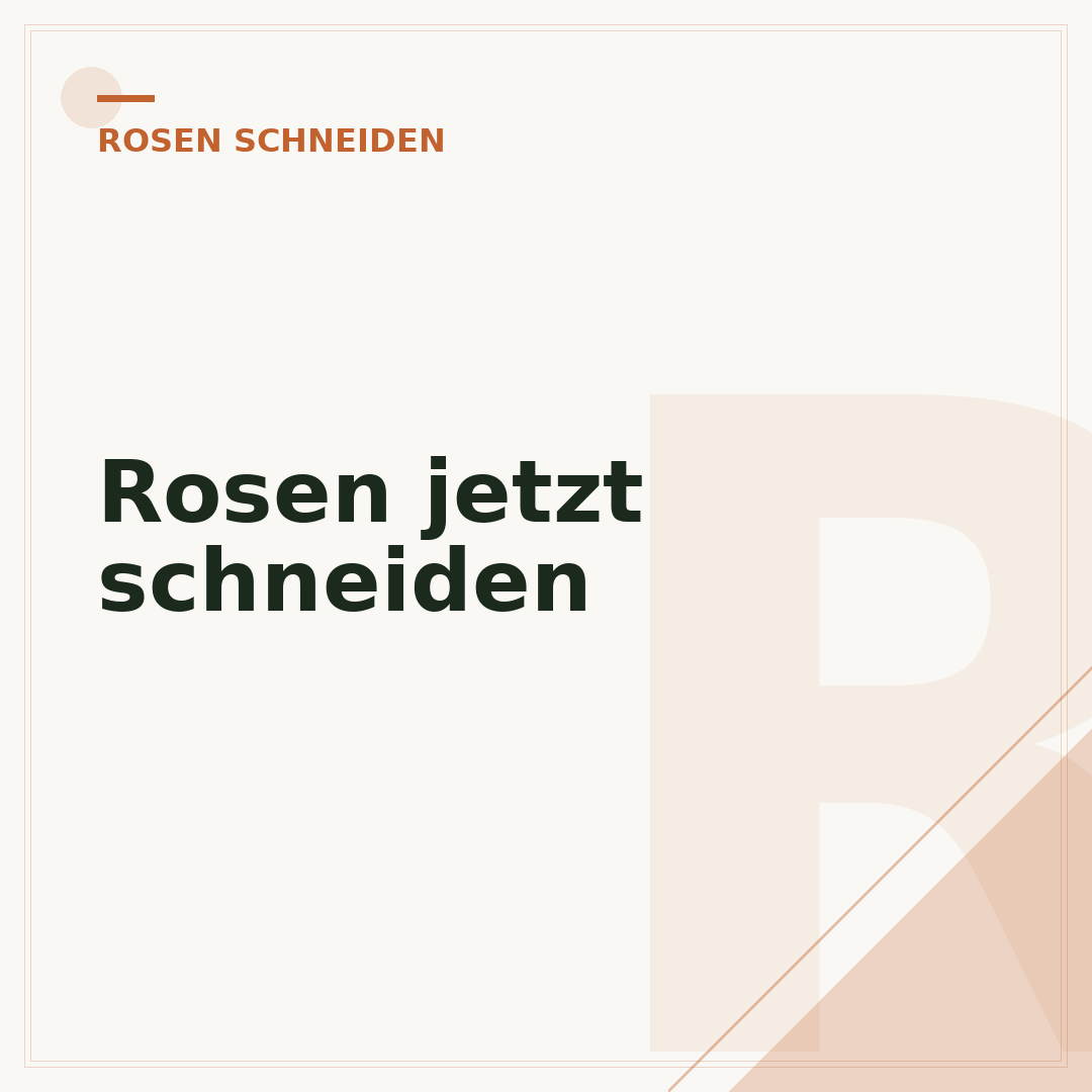 Rosen jetzt schneiden