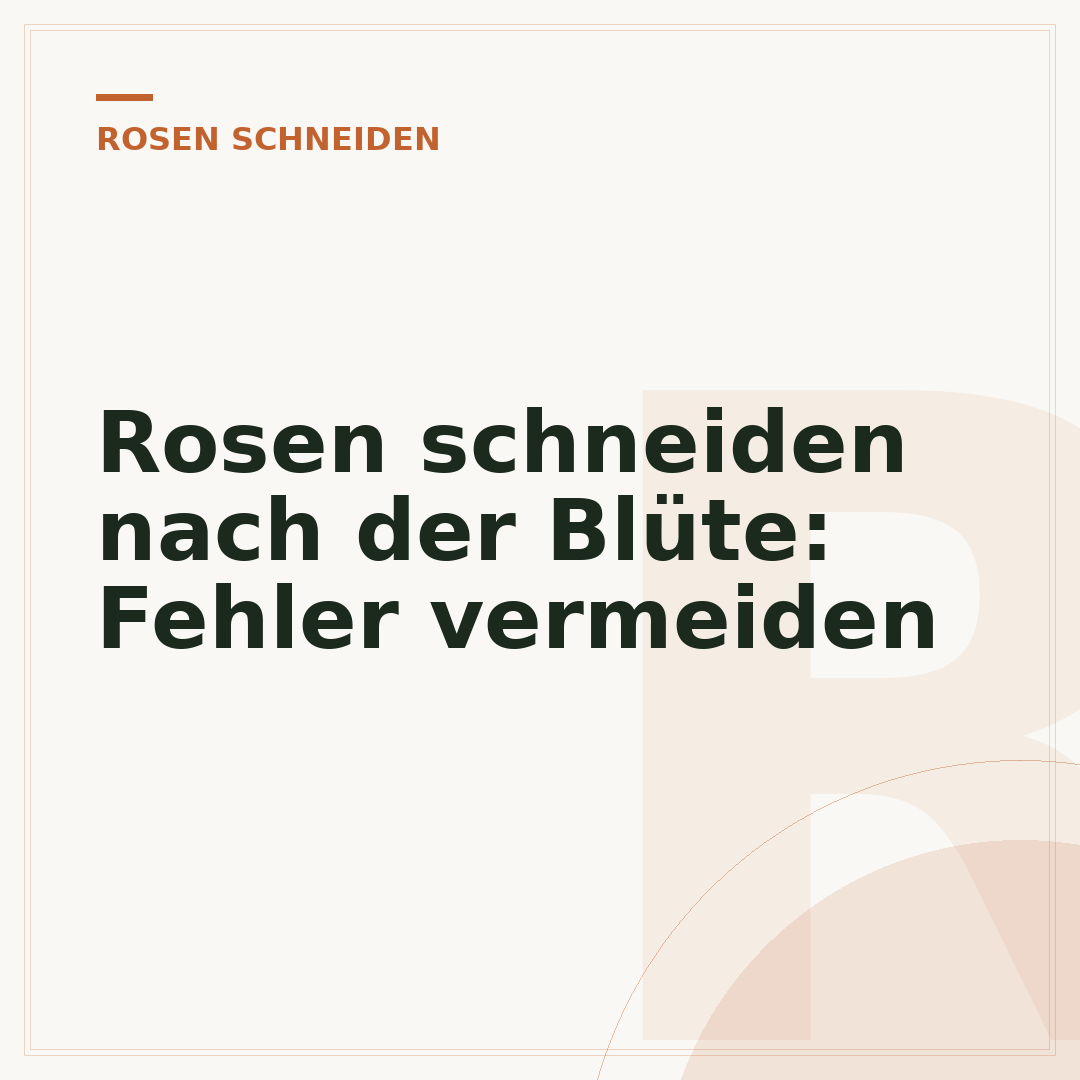 Rosen schneiden nach der Blüte: Fehler vermeiden