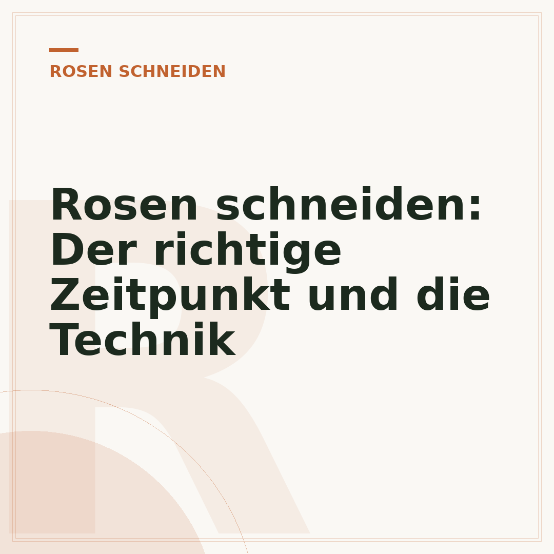 Rosen schneiden: Der richtige Zeitpunkt und die Technik