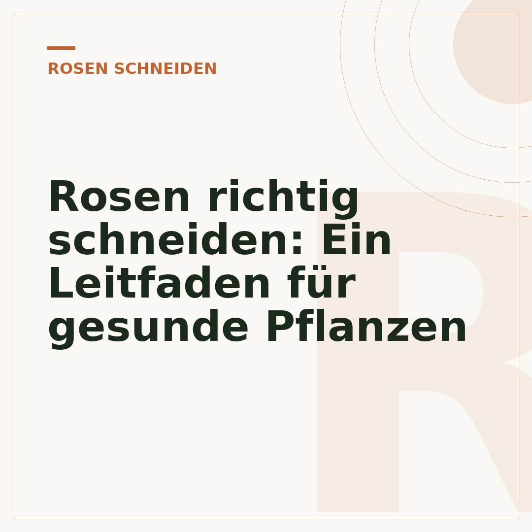 Rosen richtig schneiden: Ein Leitfaden für gesunde Pflanzen