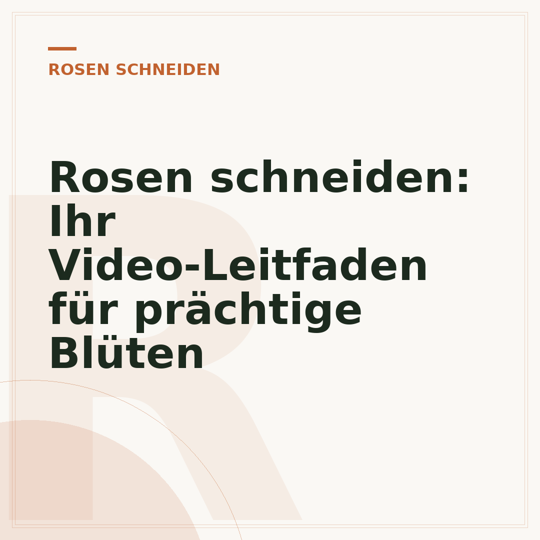 Rosen schneiden: Ihr Video-Leitfaden für prächtige Blüten