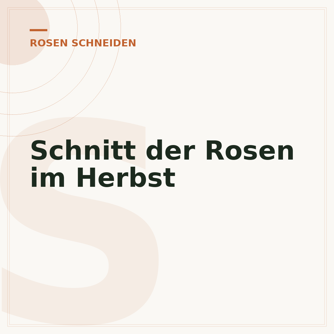 Schnitt der Rosen im Herbst