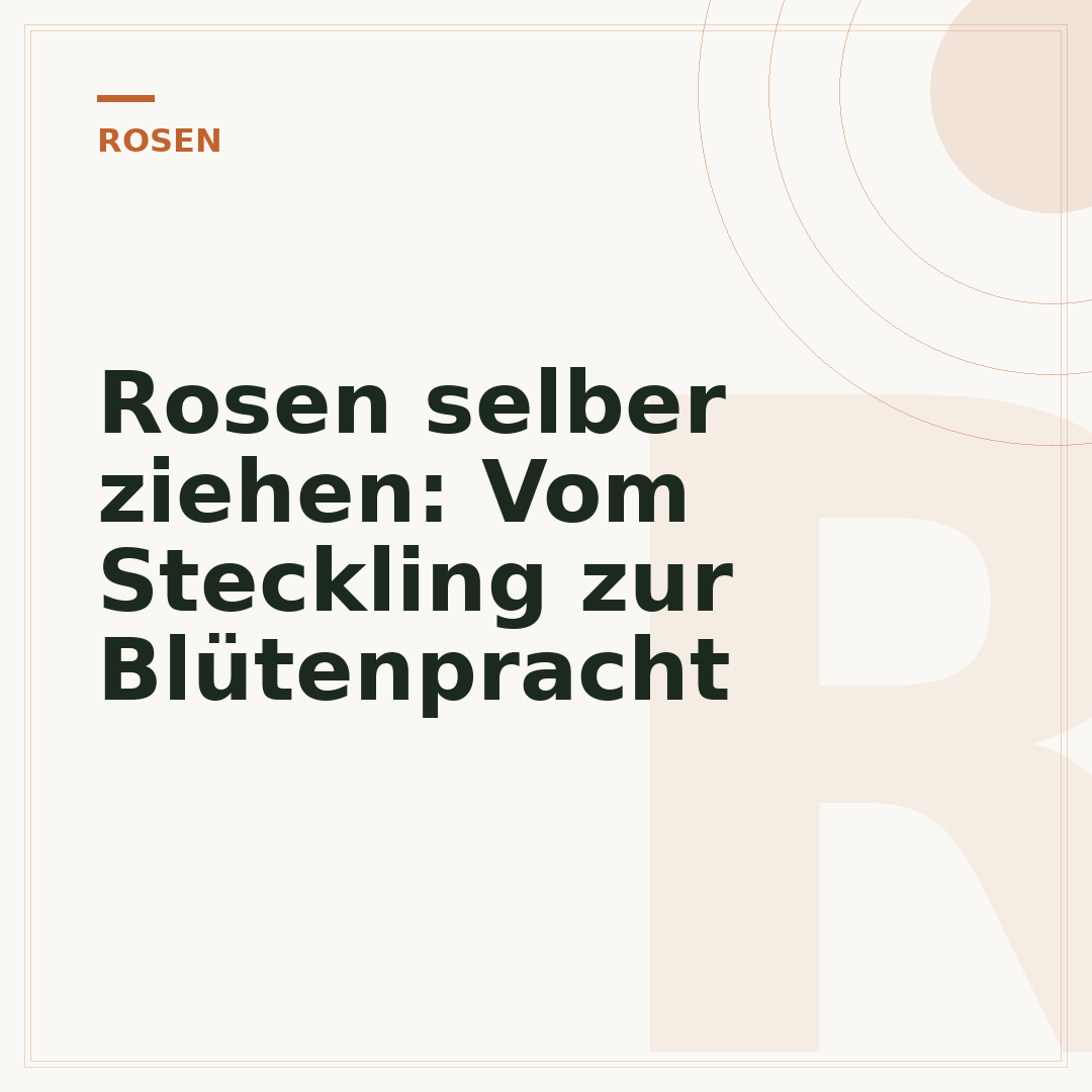 Rosen selber ziehen: Vom Steckling zur Blütenpracht