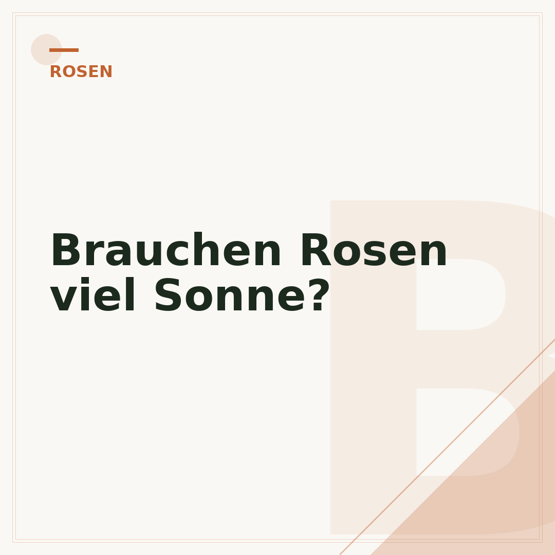 Brauchen Rosen viel Sonne?
