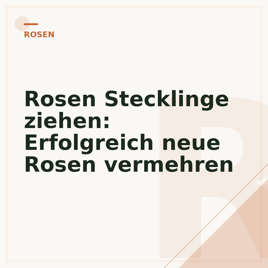 Rosen Stecklinge ziehen: Erfolgreich neue Rosen vermehren