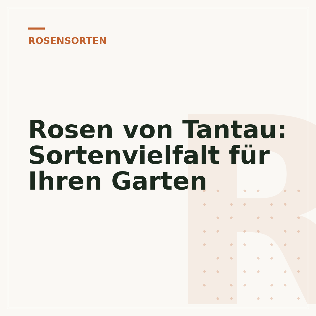 Rosen von Tantau: Sortenvielfalt für Ihren Garten