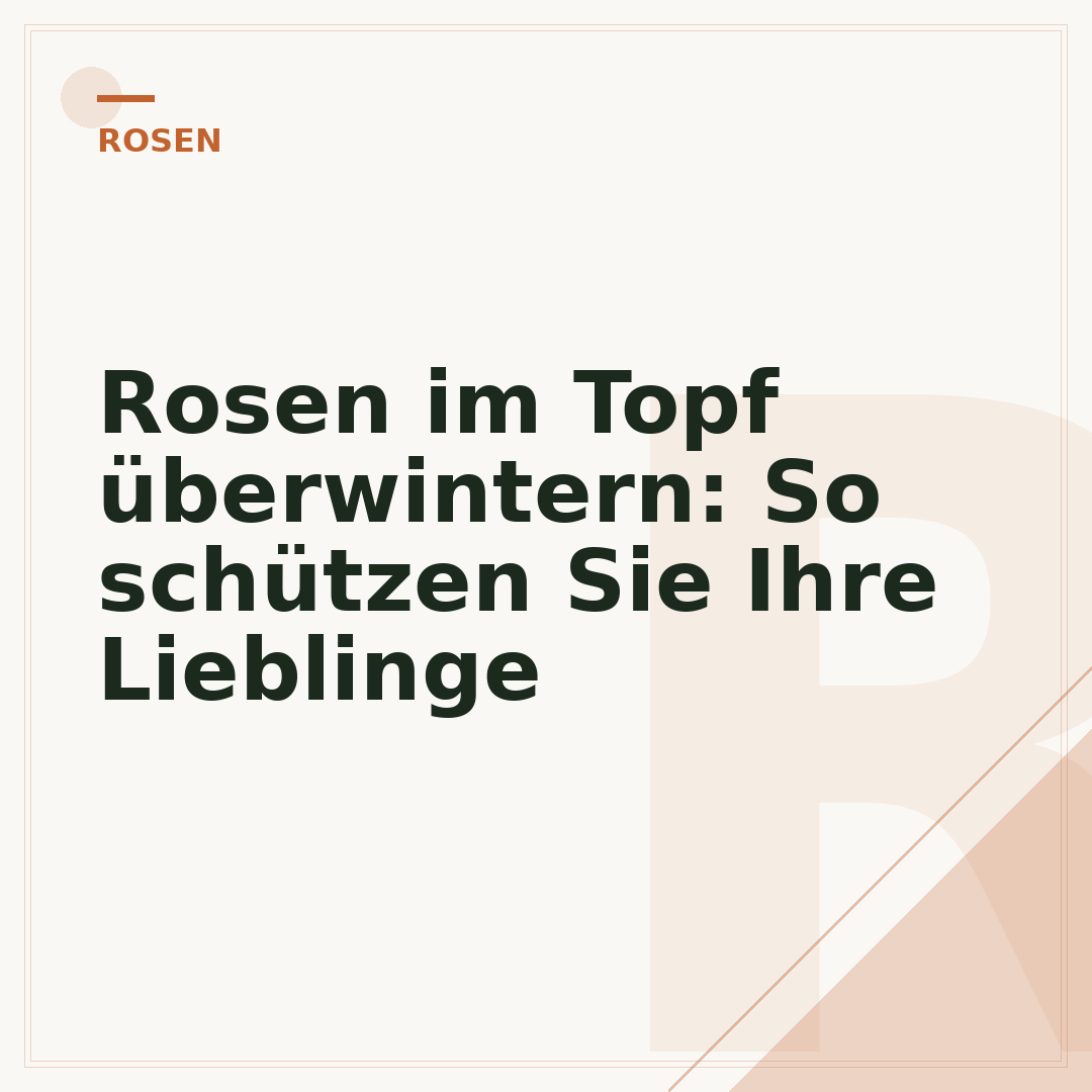 Rosen im Topf überwintern: So schützen Sie Ihre Lieblinge