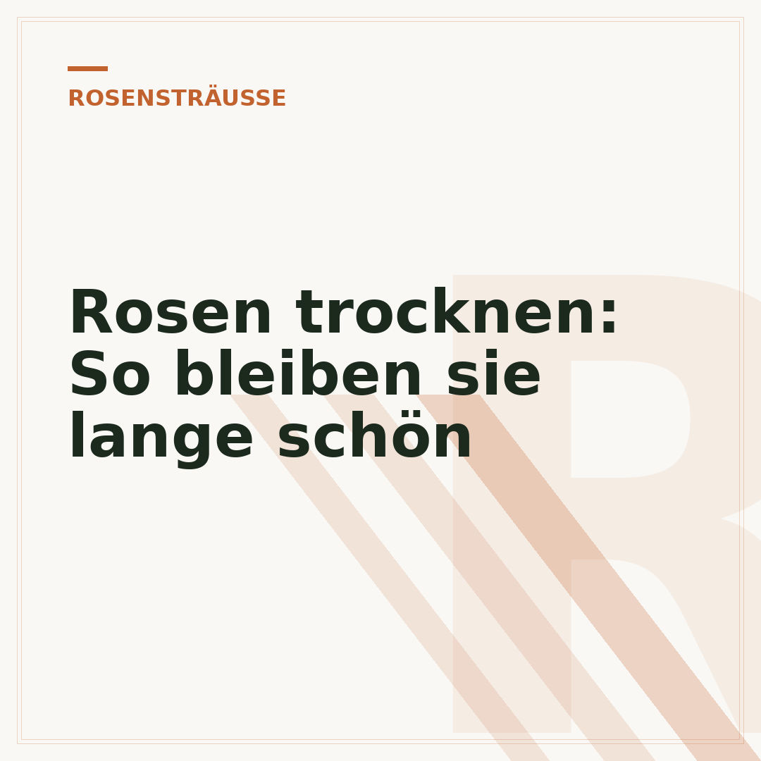 Rosen trocknen: So bleiben sie lange schön