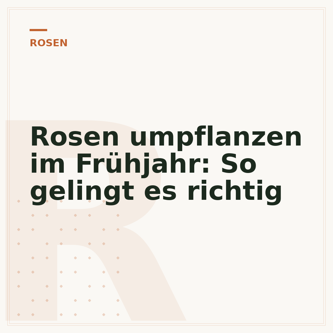 Rosen umpflanzen im Frühjahr: So gelingt es richtig