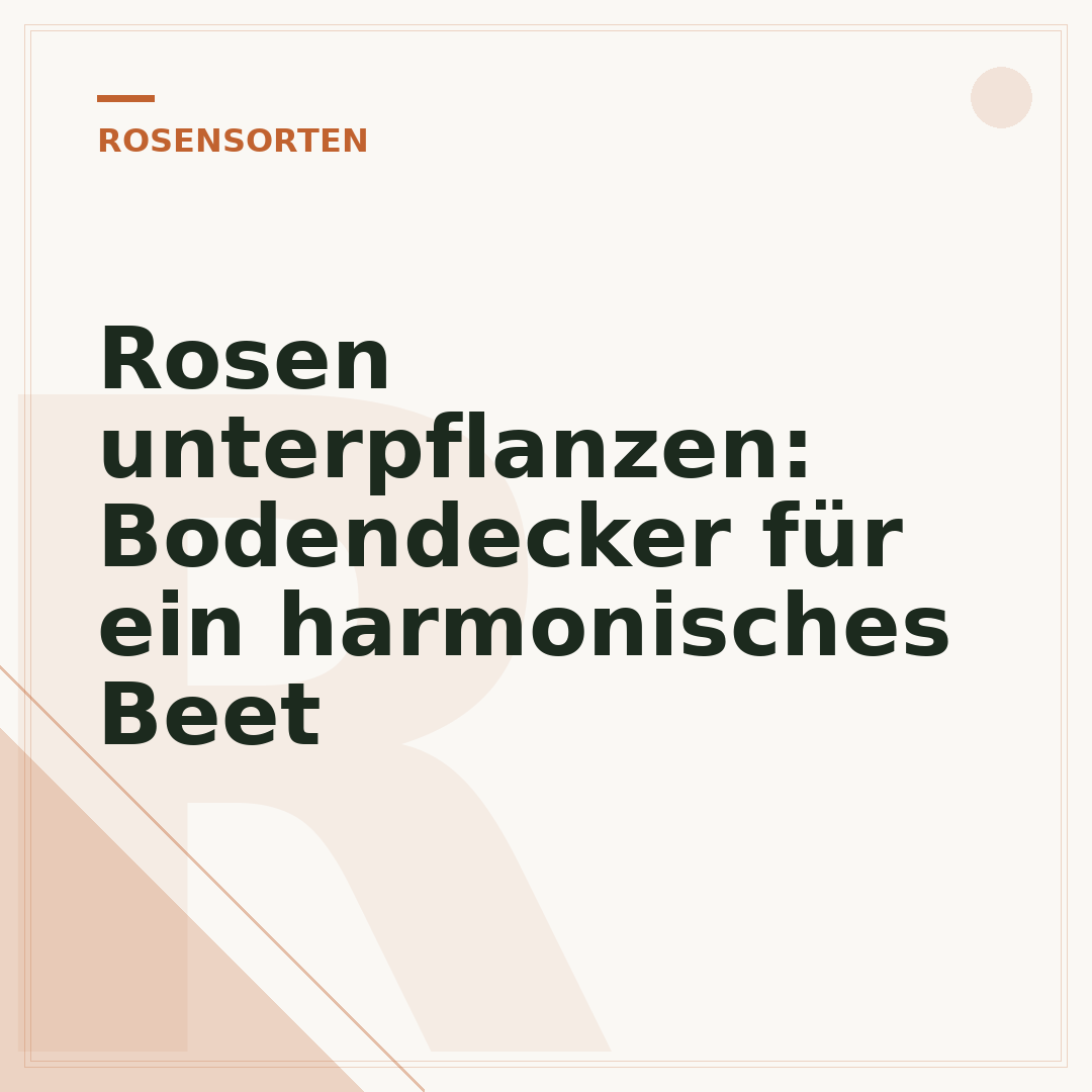 Rosen unterpflanzen: Bodendecker für ein harmonisches Beet