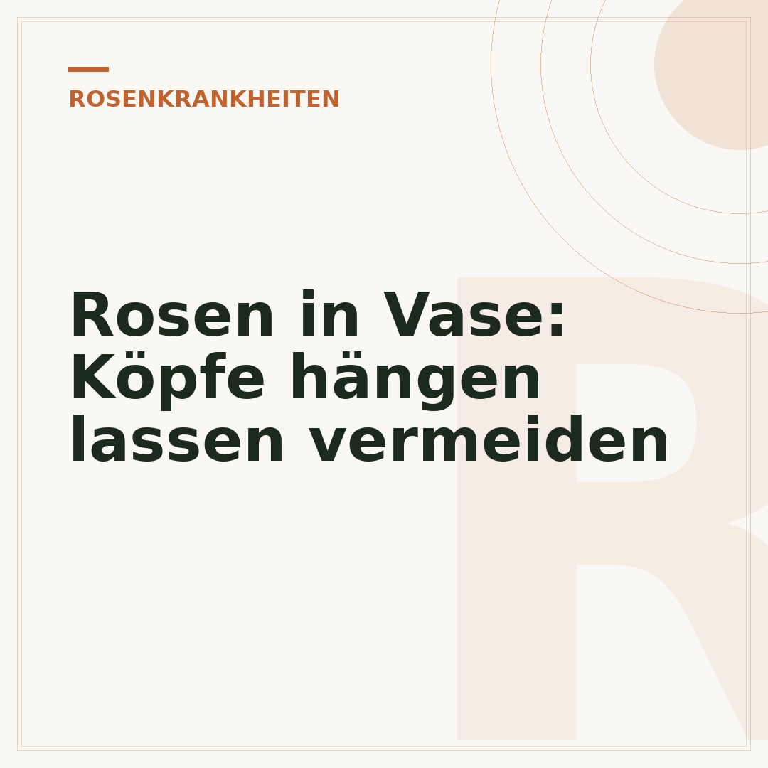 Rosen in Vase: Köpfe hängen lassen vermeiden