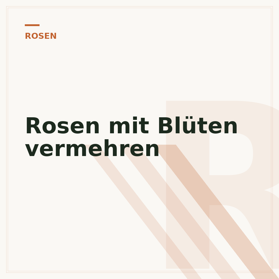 Rosen mit Blüten vermehren