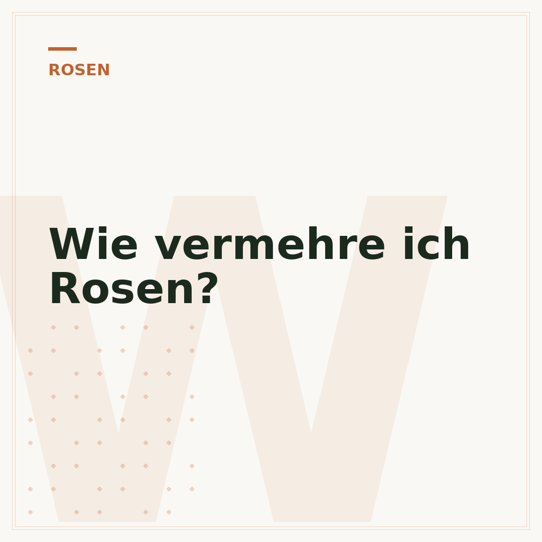Wie vermehre ich Rosen?