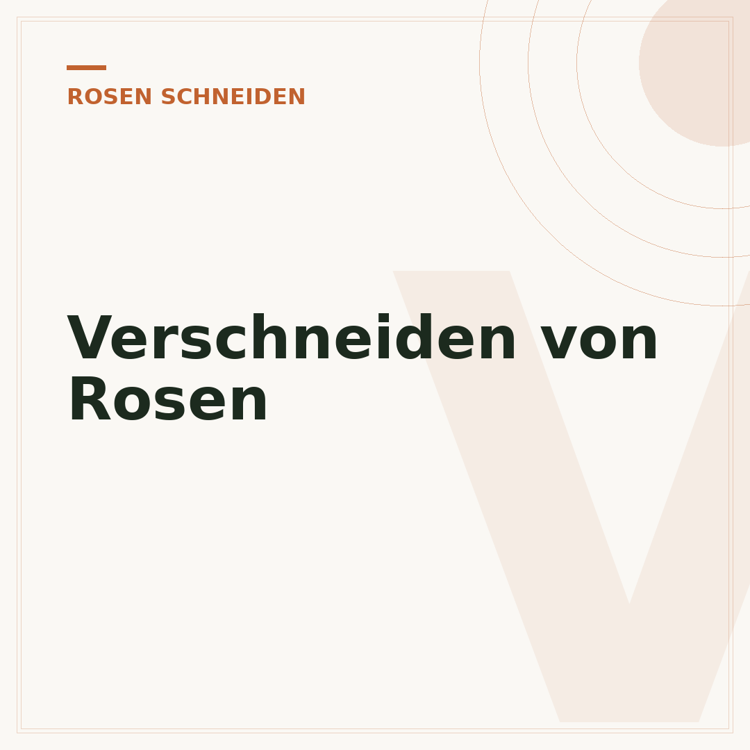 Verschneiden von Rosen