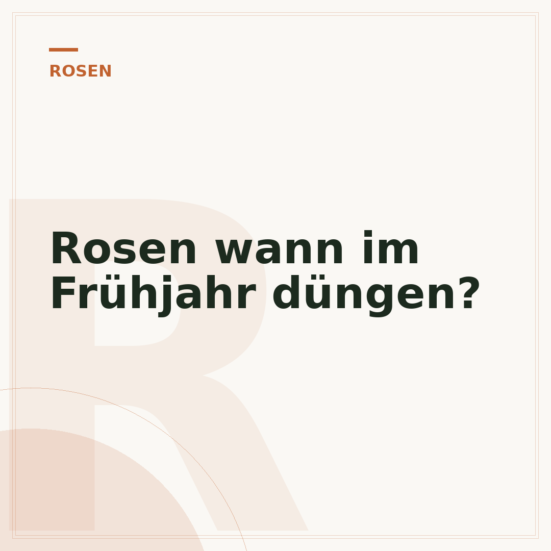 Rosen wann im Frühjahr düngen?