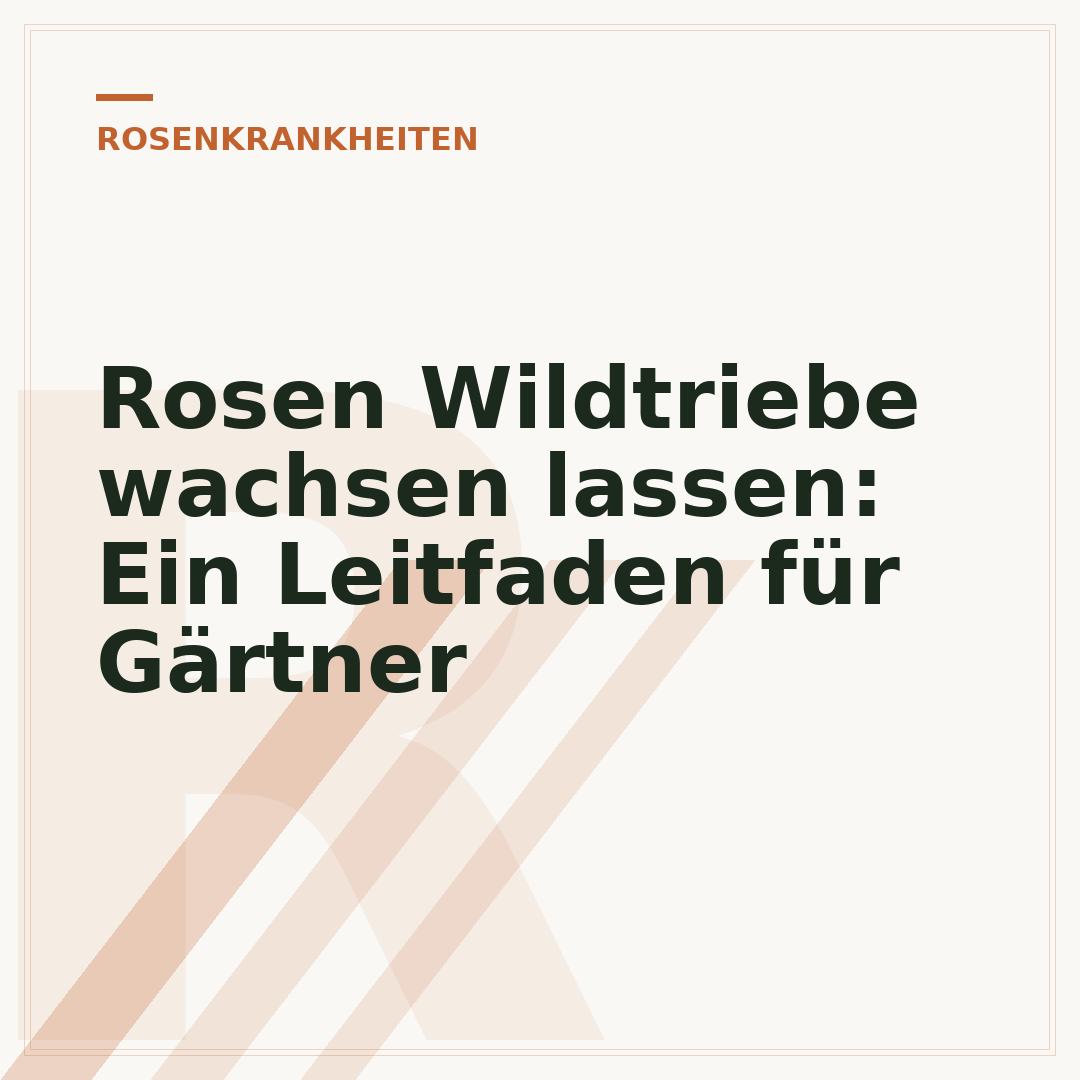 Rosen Wildtriebe wachsen lassen: Ein Leitfaden für Gärtner