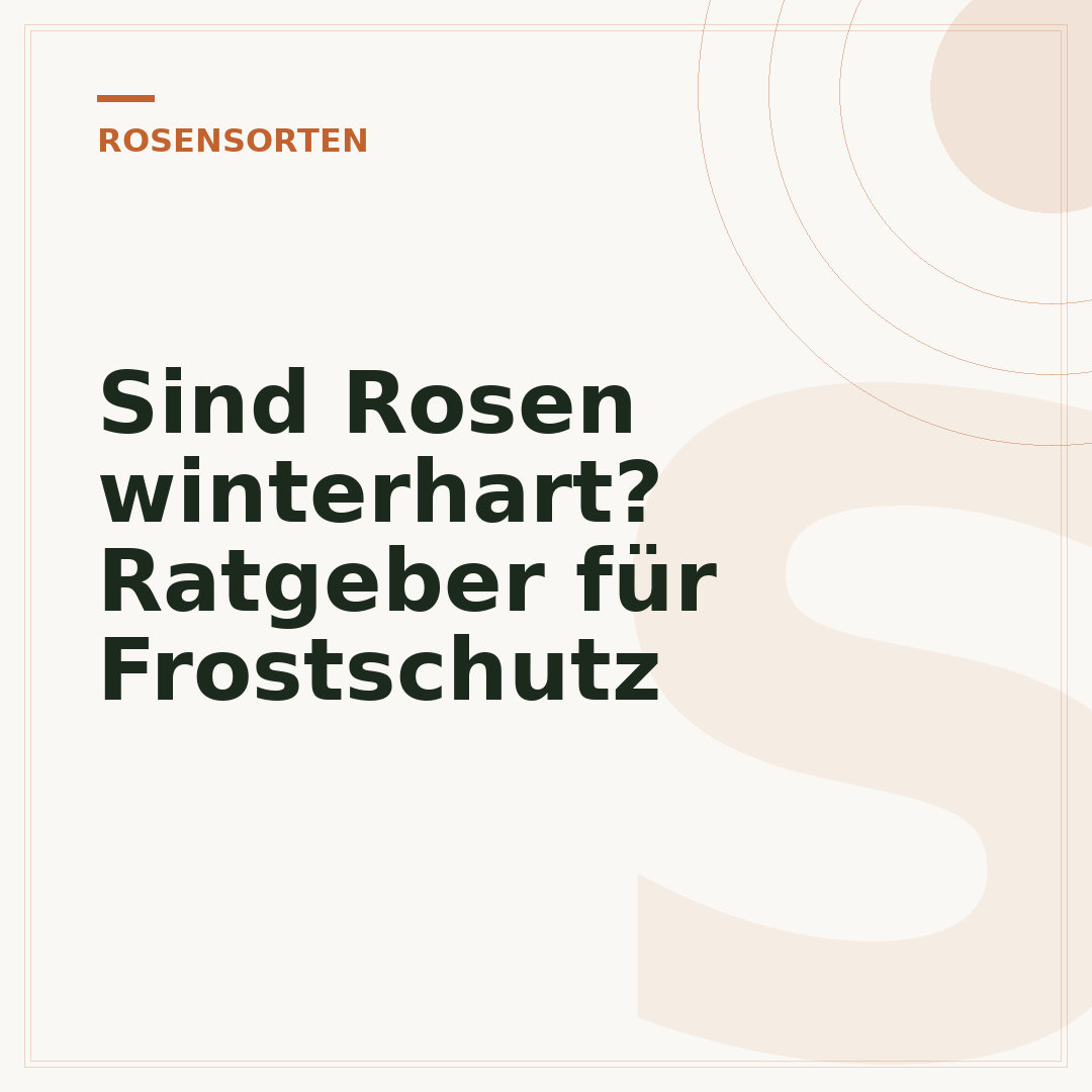 Sind Rosen winterhart? Ratgeber für Frostschutz