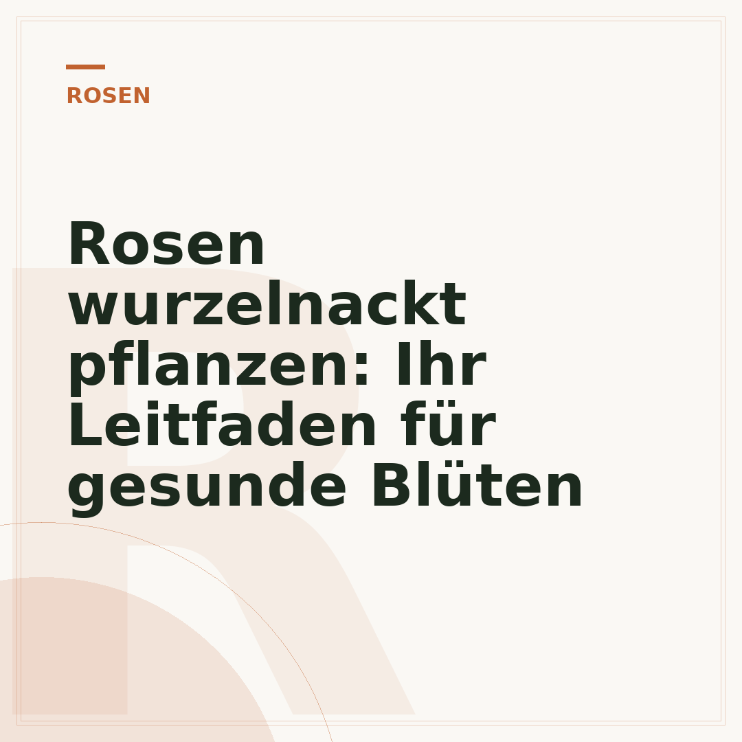 Rosen wurzelnackt pflanzen: Ihr Leitfaden für gesunde Blüten