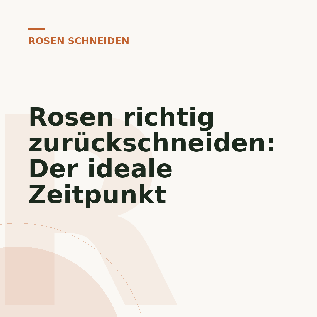 Rosen richtig zurückschneiden: Der ideale Zeitpunkt