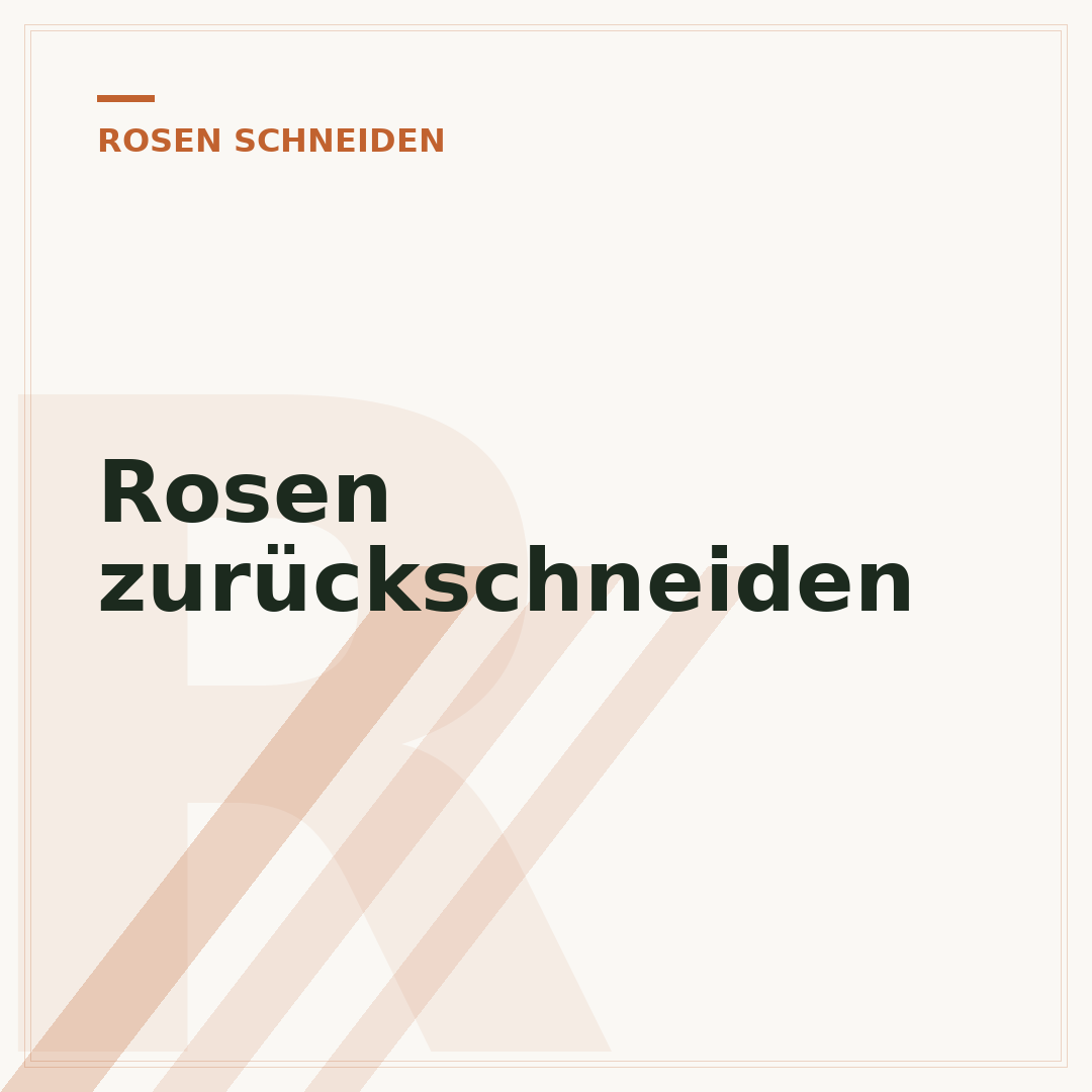 Rosen zurückschneiden