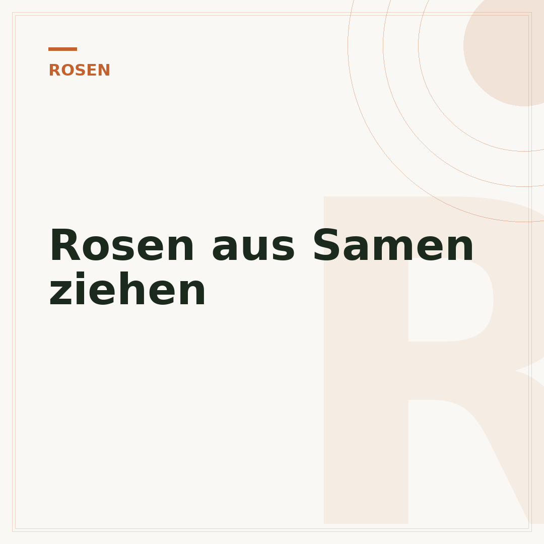 Rosen aus Samen ziehen