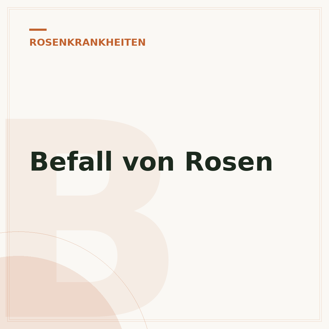Befall von Rosen