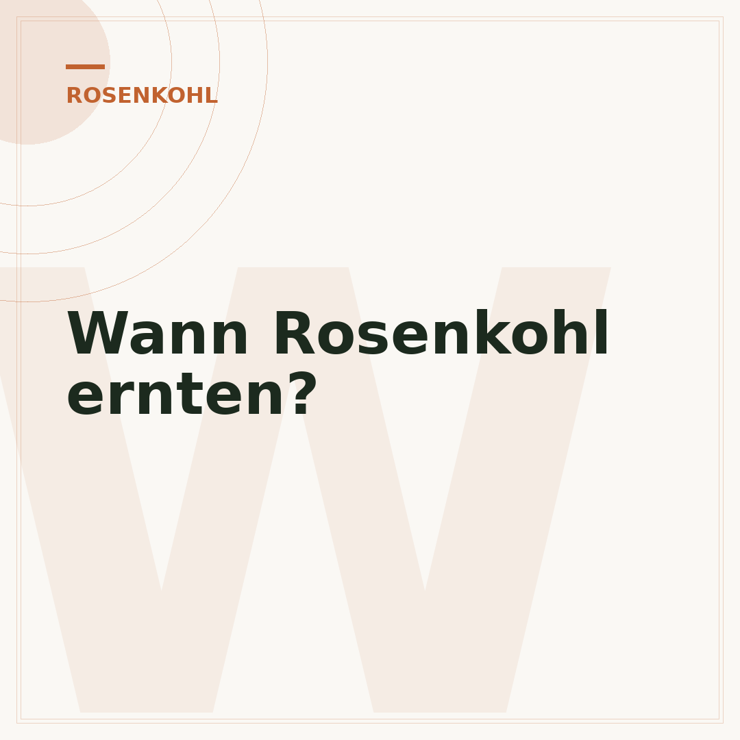 Wann Rosenkohl ernten?