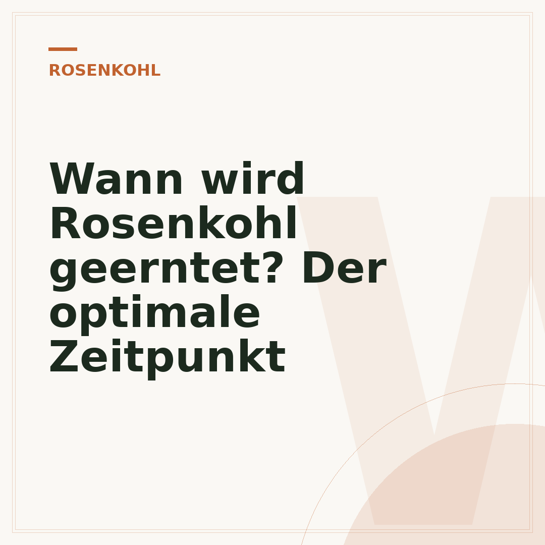 Wann wird Rosenkohl geerntet? Der optimale Zeitpunkt