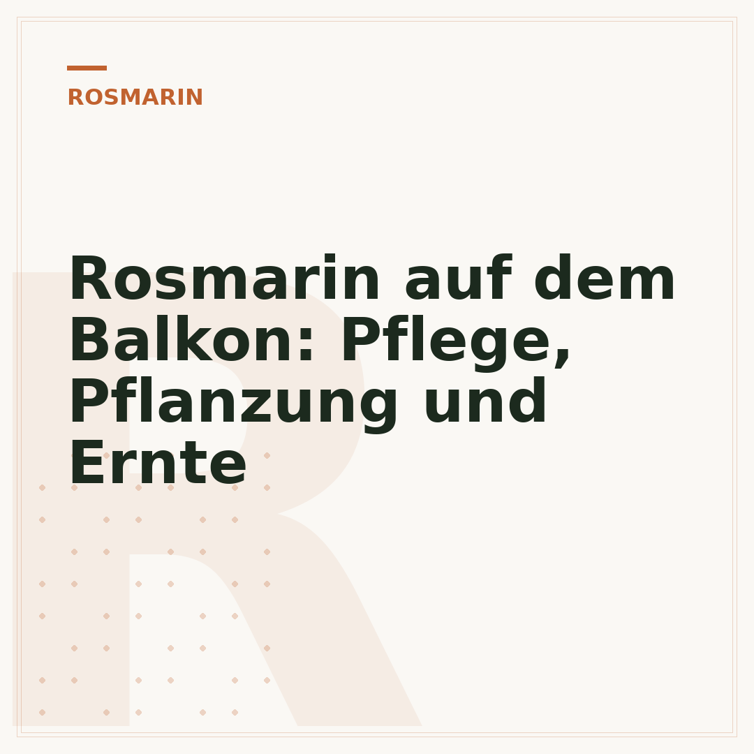 Rosmarin auf dem Balkon: Pflege, Pflanzung und Ernte
