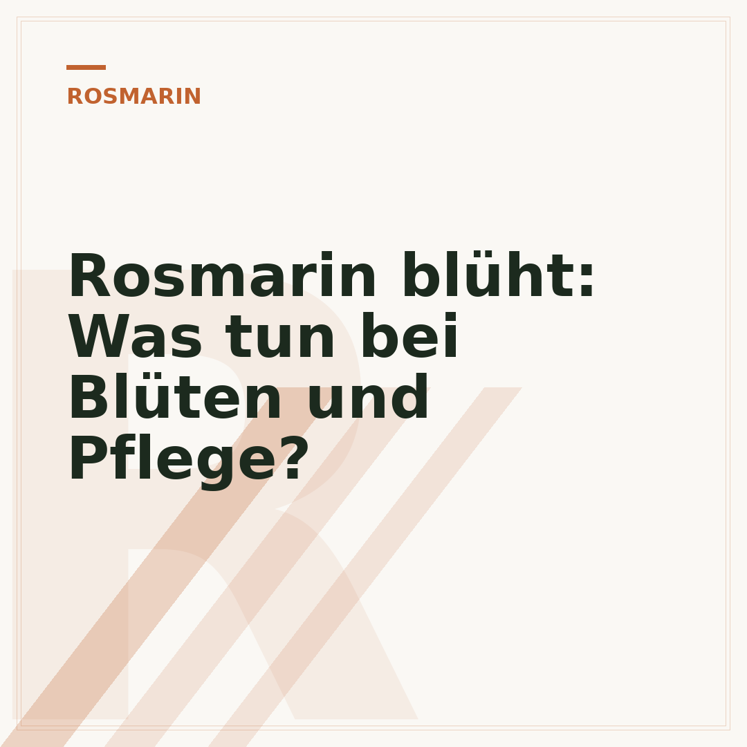 Rosmarin blüht: Was tun bei Blüten und Pflege?