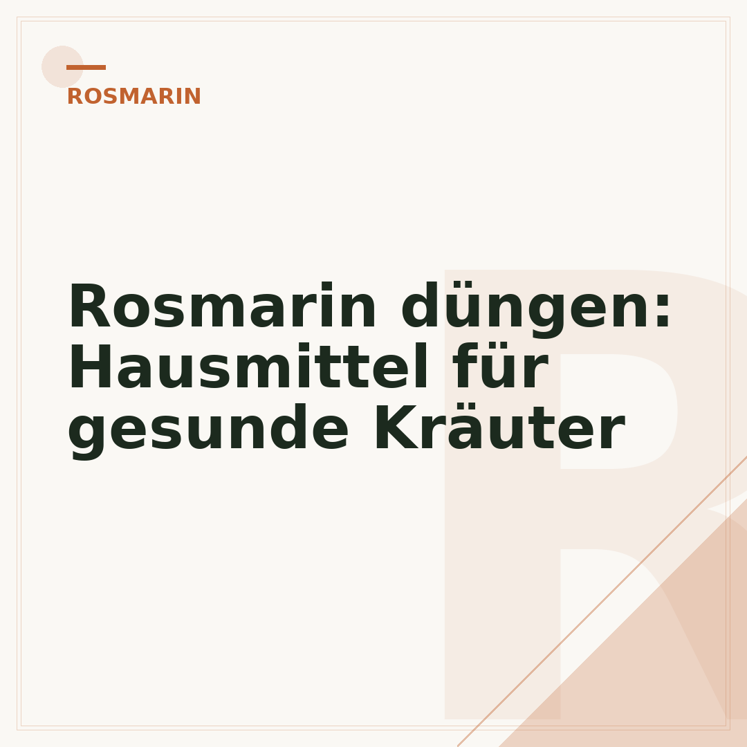 Rosmarin düngen: Hausmittel für gesunde Kräuter