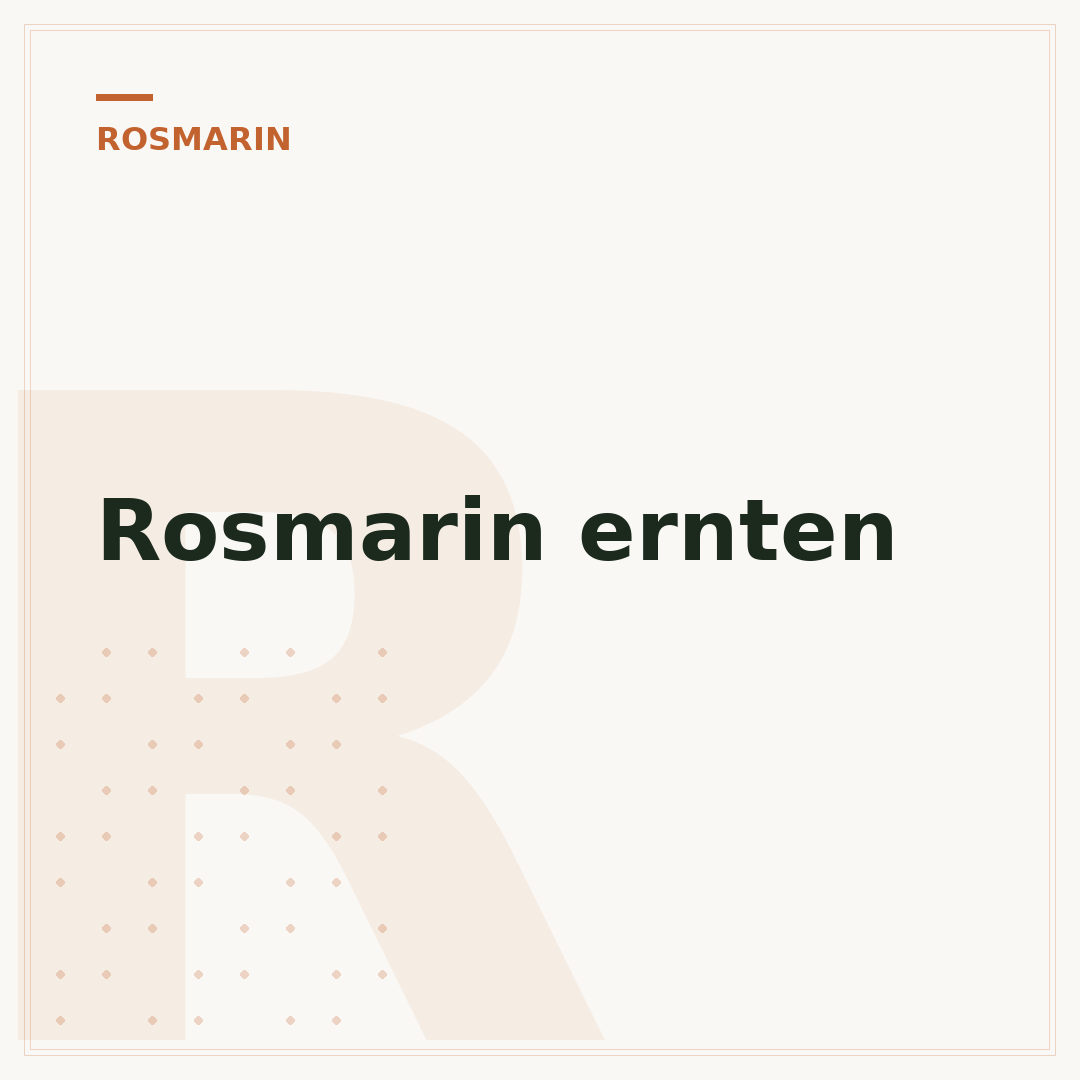Rosmarin ernten