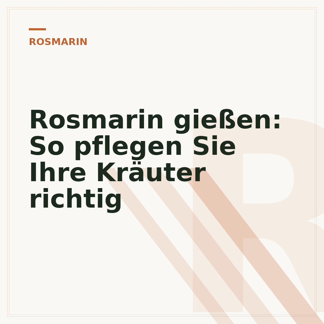 Rosmarin gießen: So pflegen Sie Ihre Kräuter richtig