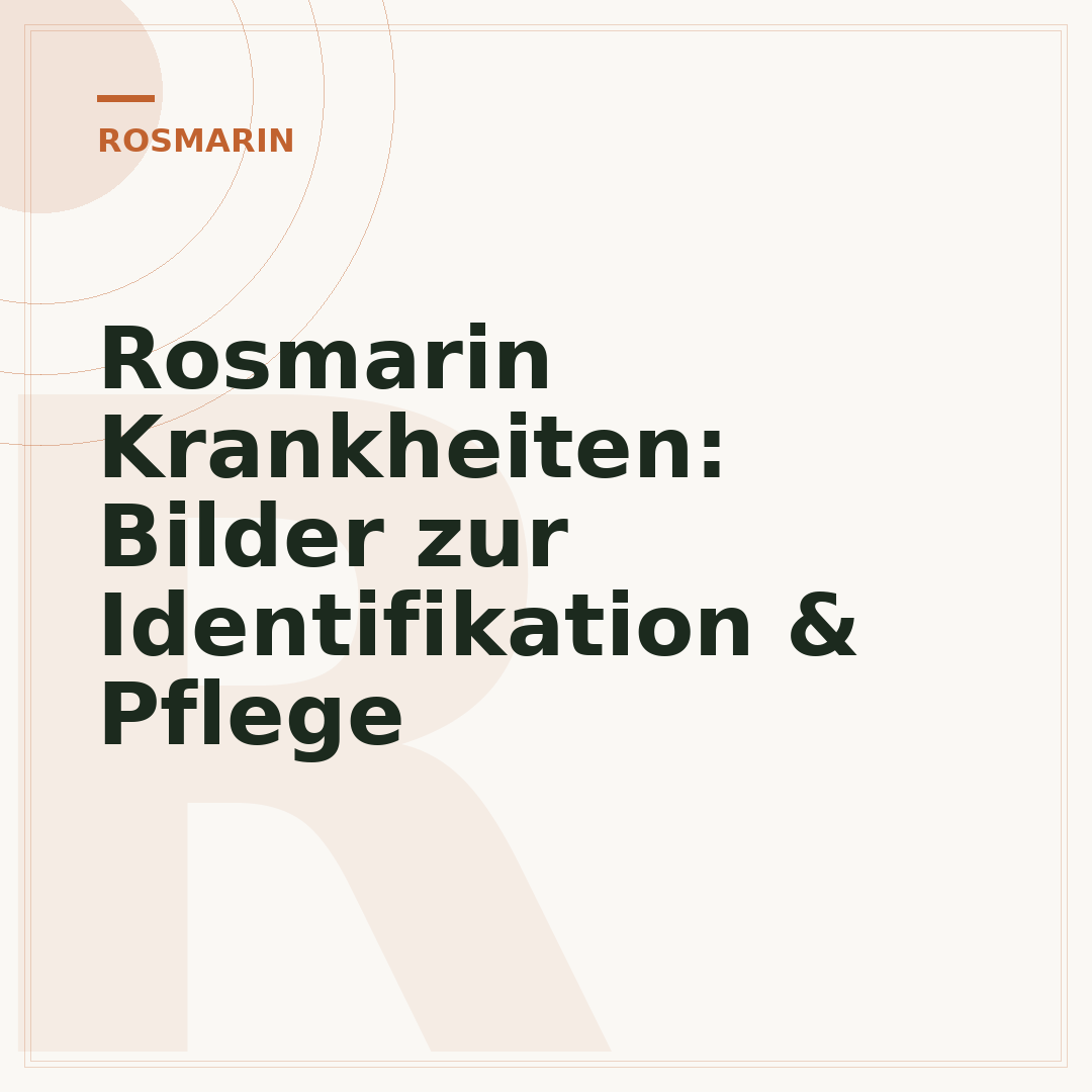 Rosmarin Krankheiten: Bilder zur Identifikation & Pflege
