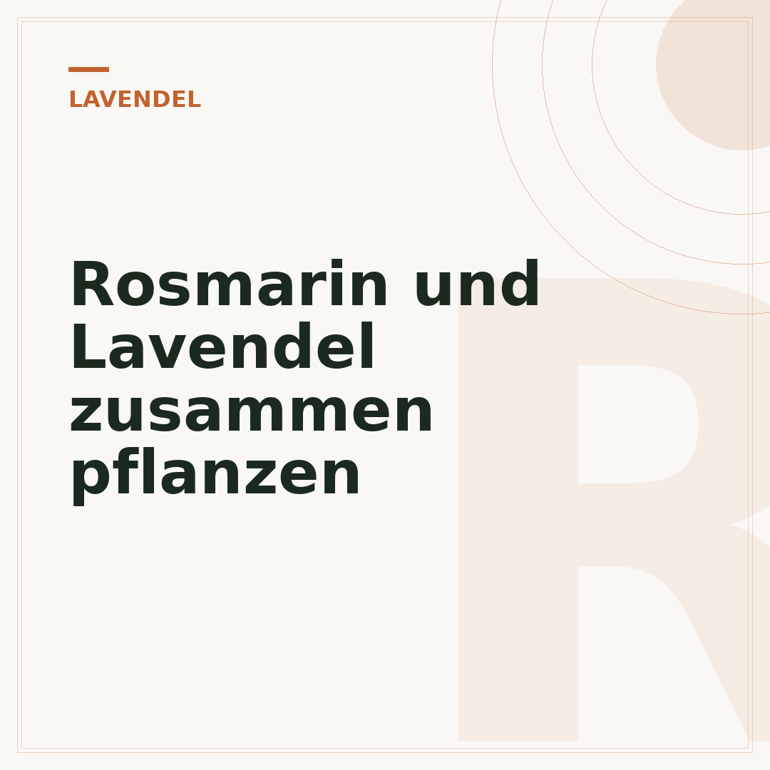 Rosmarin und Lavendel zusammen pflanzen