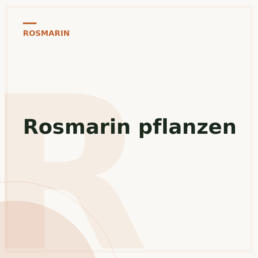 Rosmarin pflanzen