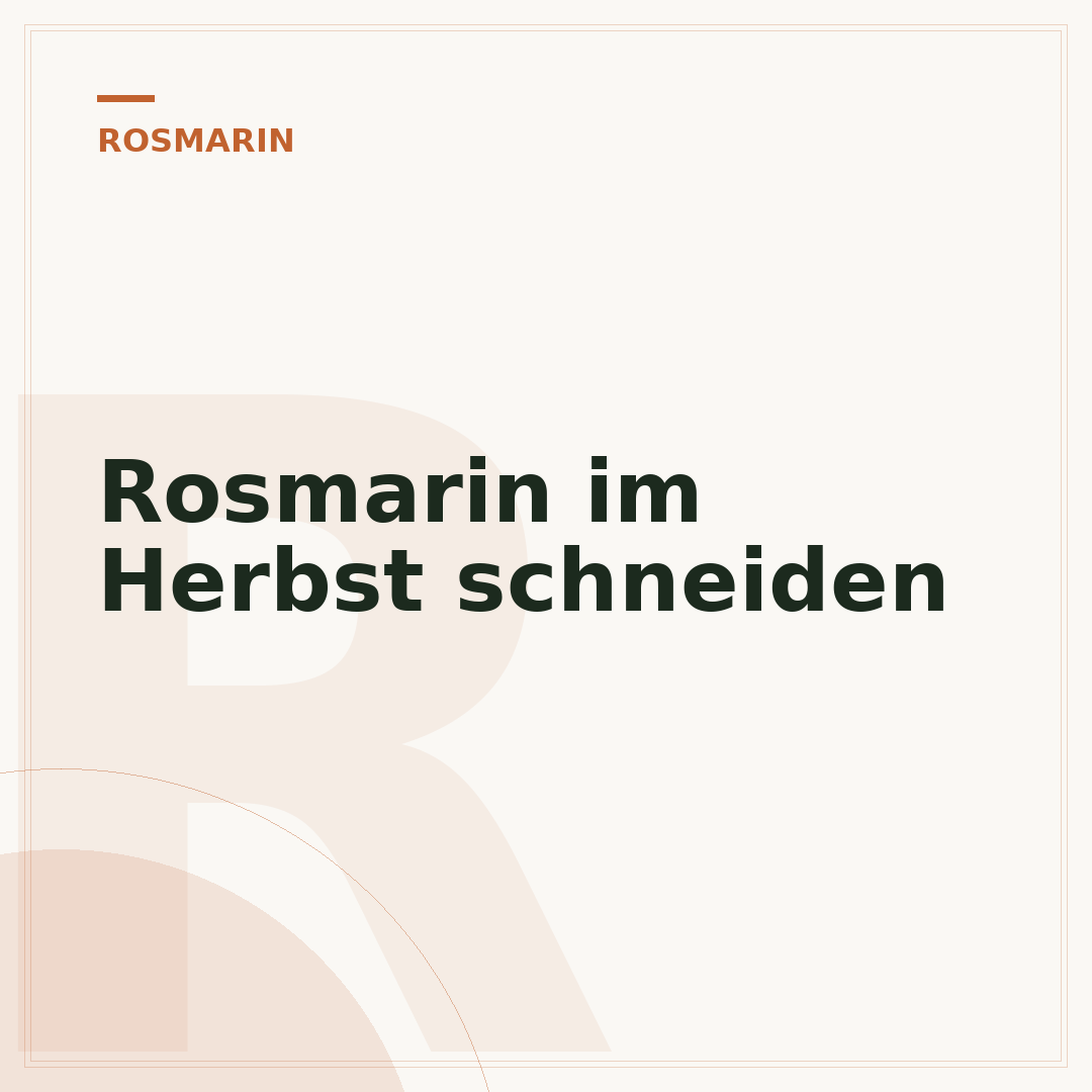 Rosmarin im Herbst schneiden
