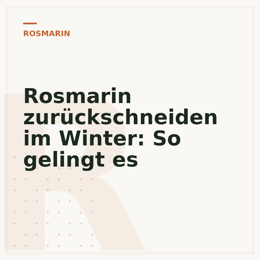 Rosmarin zurückschneiden im Winter: So gelingt es